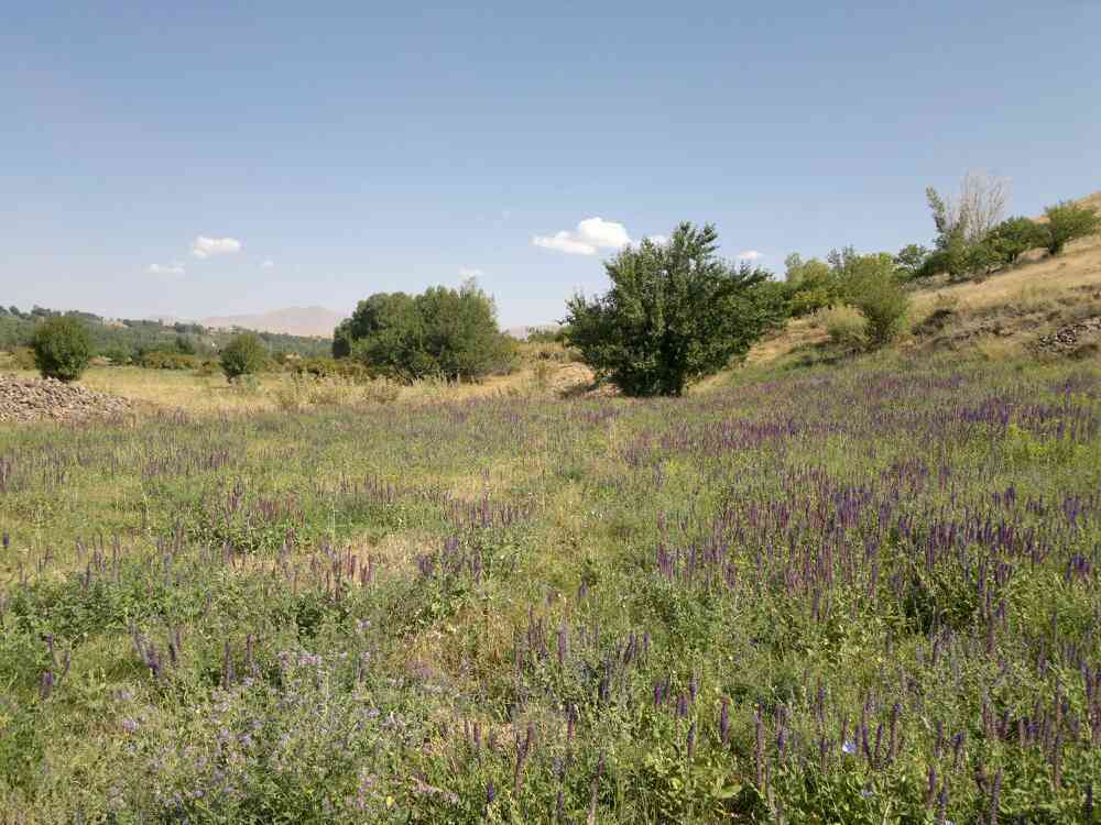 شمال روستای آغمیون