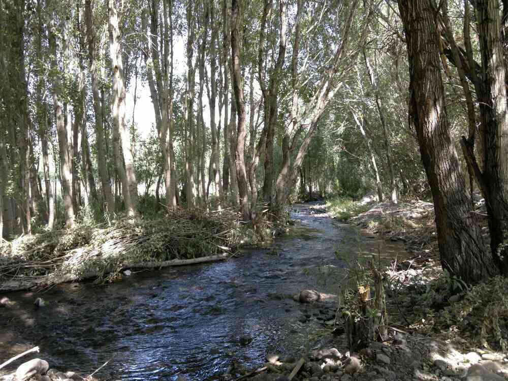 شمال روستای آغمیون