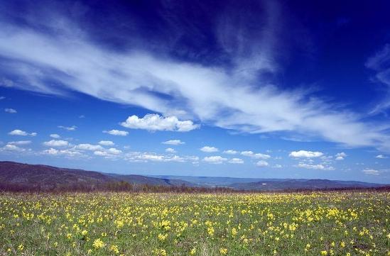 آسمان بالای سر و زمین زیر پا