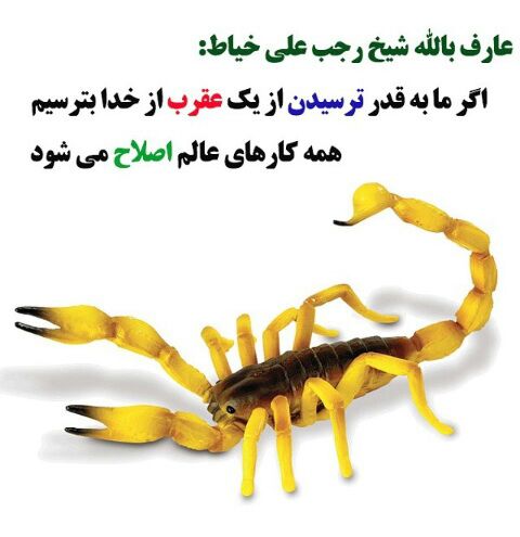 کلید اصلاح عالم