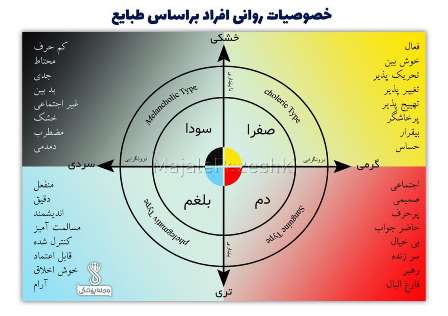 الگوی رفتاری مزاج