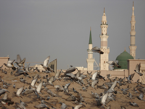 السلام علیک یا رسول الله..