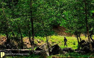 زن روستایی ماسوله