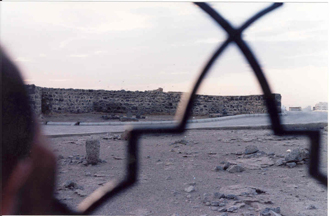 The destroyed cemetery of Baqee