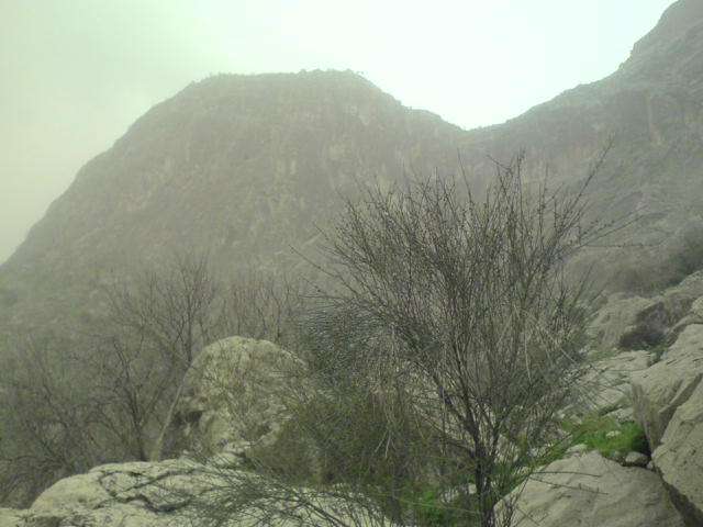 تصویری از کوه قلعه(یکی از کوه های تاریخی دشتستان و بسیار پر عظمت که بر فراز آن قلعه ای از دوران باستان قرار دارد و مردم منطقه در باره ی آن داستان های زیادی نقل می کنند)