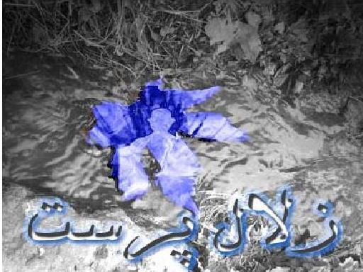 برای دریا - زلال پرست